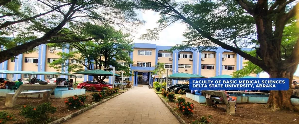 Does DELSU offer Medicine and Surgery? [Quick Answer]