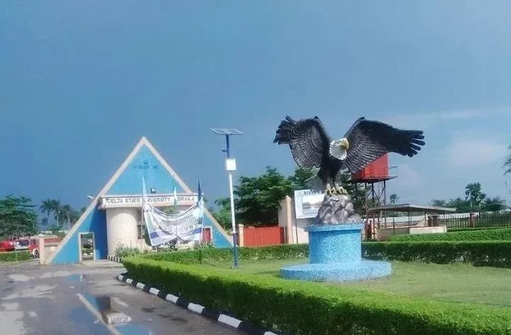 DELSU Diploma Form: How to Purchase and Apply successfully