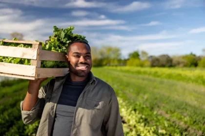 Fruit Picking Jobs Available at Elwell Fruit Farm in the Uk