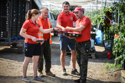 Seasonal Fruit Picking Jobs Available at Hall Hunter Farms in the UK