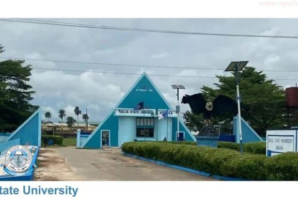 Delsu Admission List