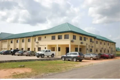 best art courses in delsu
